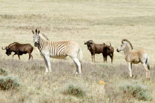 ��ѧ�����ڸ����������İ�¿