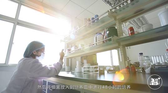 ������͹��������������ȫ��λ����PK