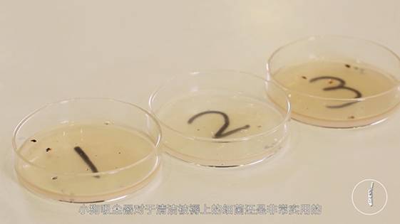 ������͹��������������ȫ��λ����PK