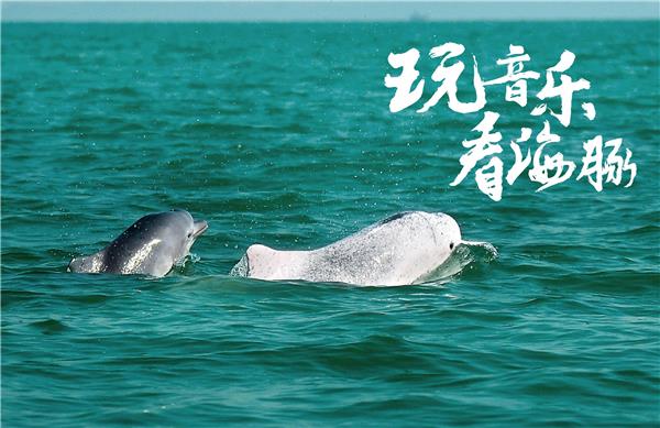首个沙滩公益主题音乐节 和2018北部湾(钦州)迷笛音乐节一起保护白海豚
