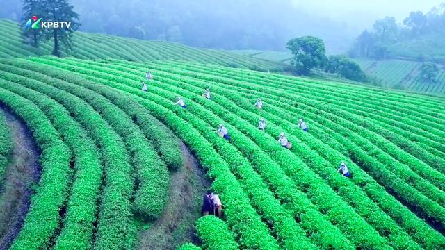 ���迪�����������������ǹ�ģ���Ĳ��ҵ����